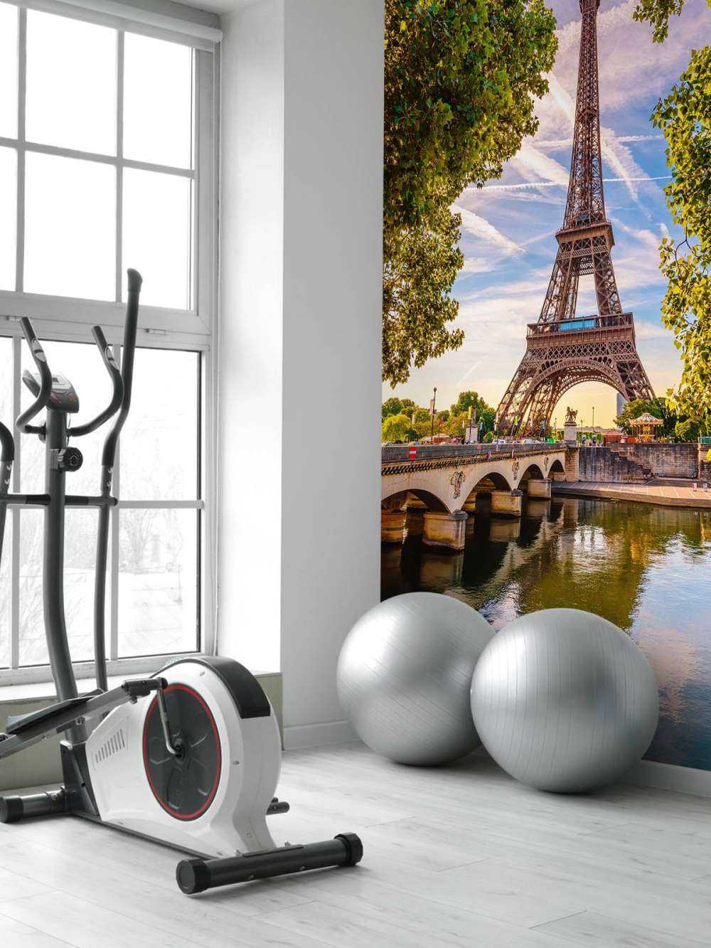 La Tour Eiffel et la Seine