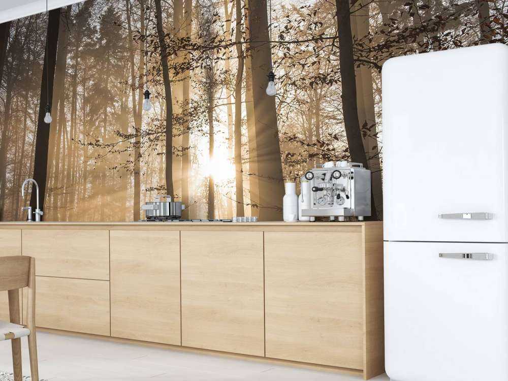 Soleil dans une forêt brumeuse