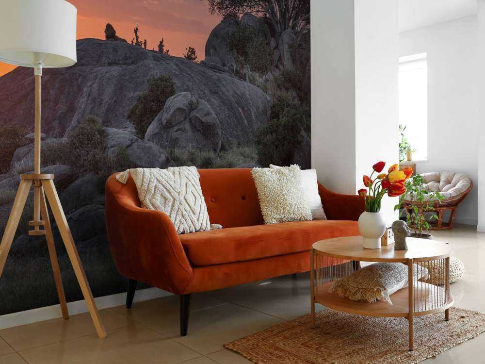 Coucher de soleil sur la savane