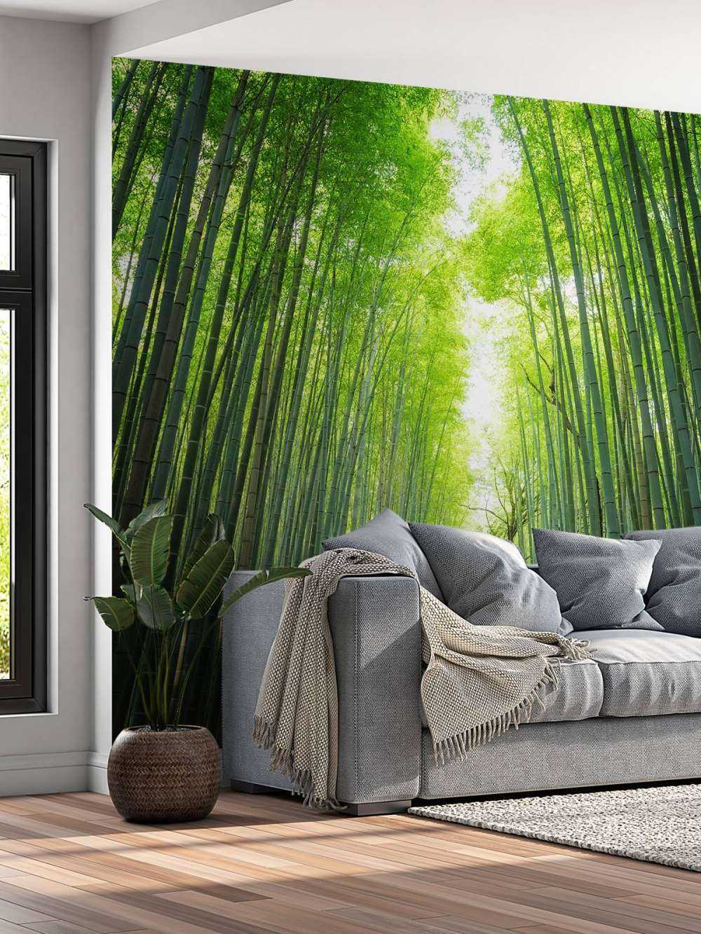 Sentier à travers le bambou