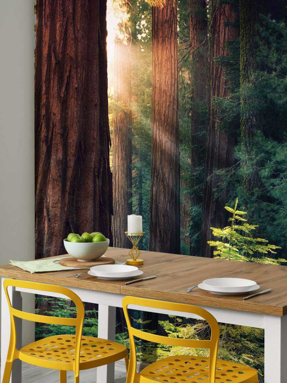 Lumière du soleil entre les acajous