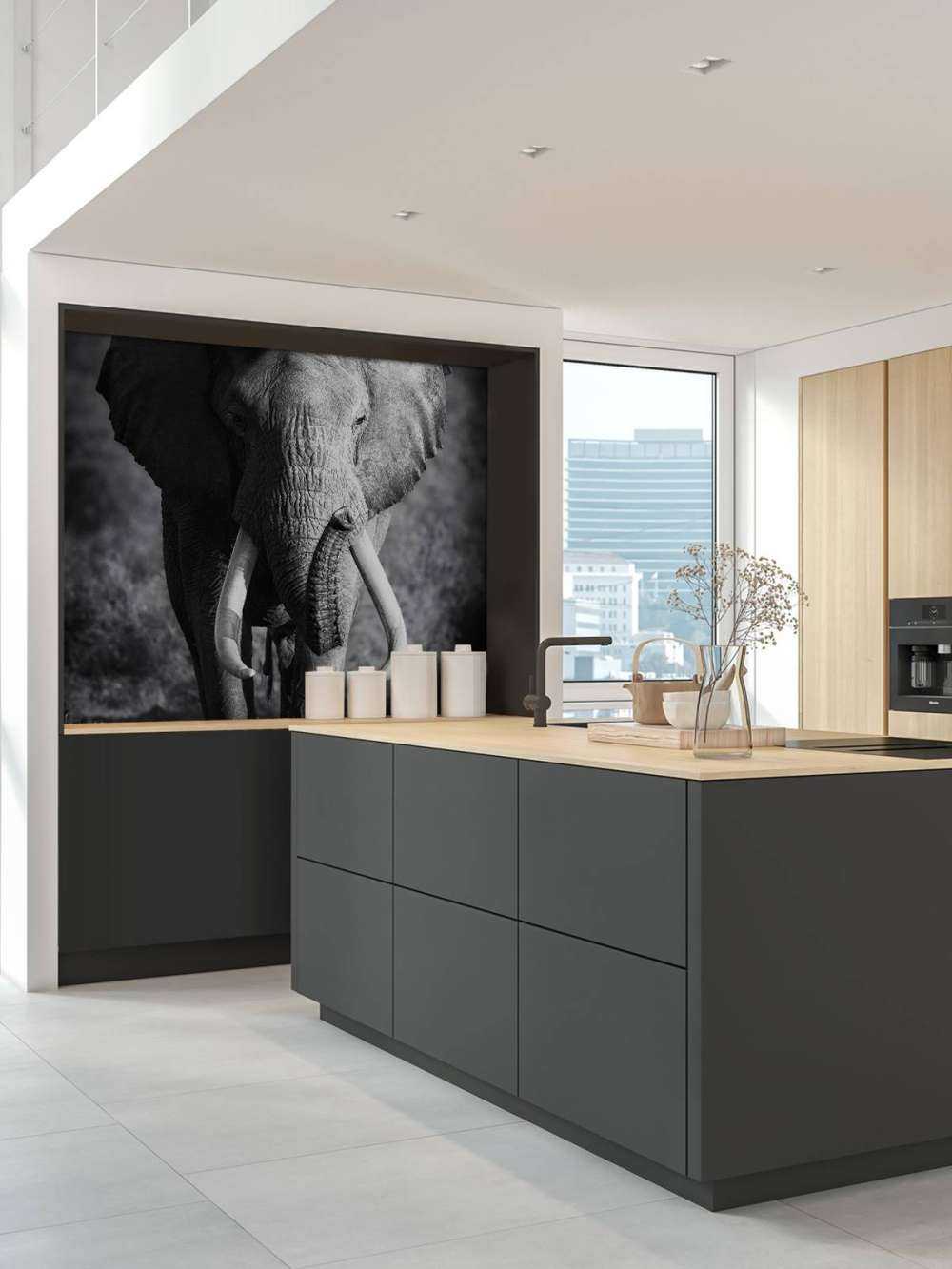 éléphant d'Afrique