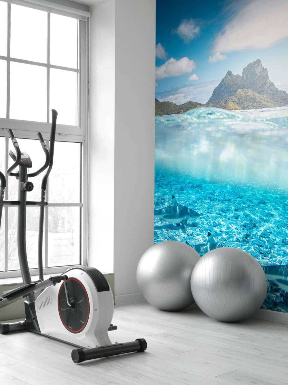 Requins de récif dans la lagune turquoise.