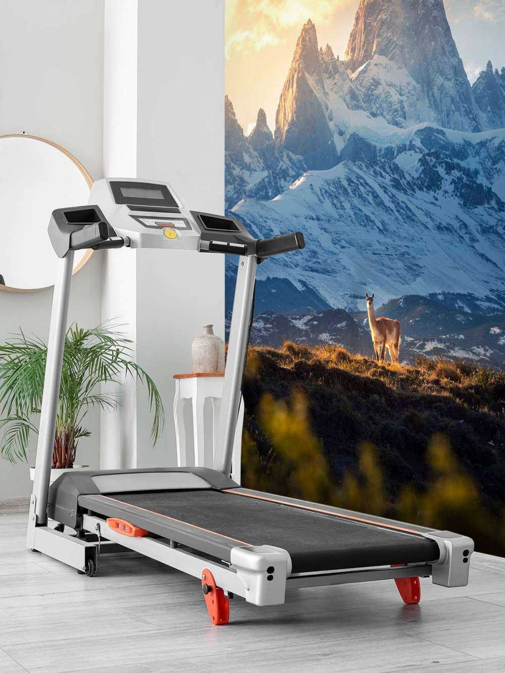 Guanaco devant les sommets enneigés de la Patagonie.