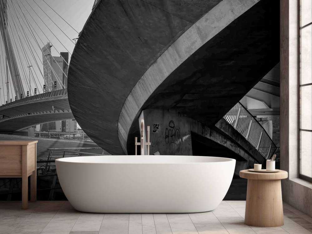 Erasmusbrug et architecture urbaine