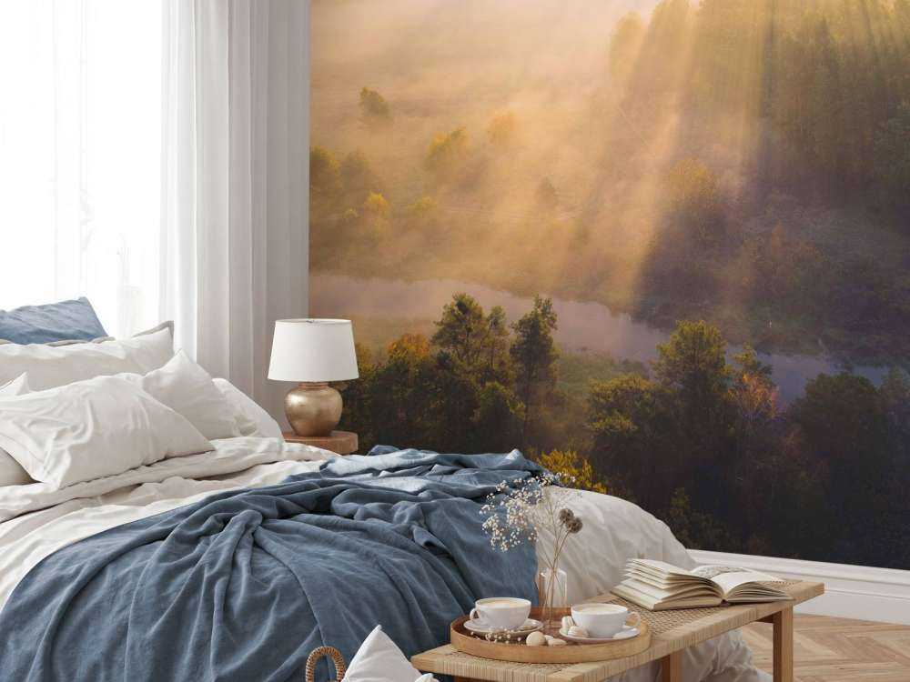 Brume matinale rêveuse dans la nature