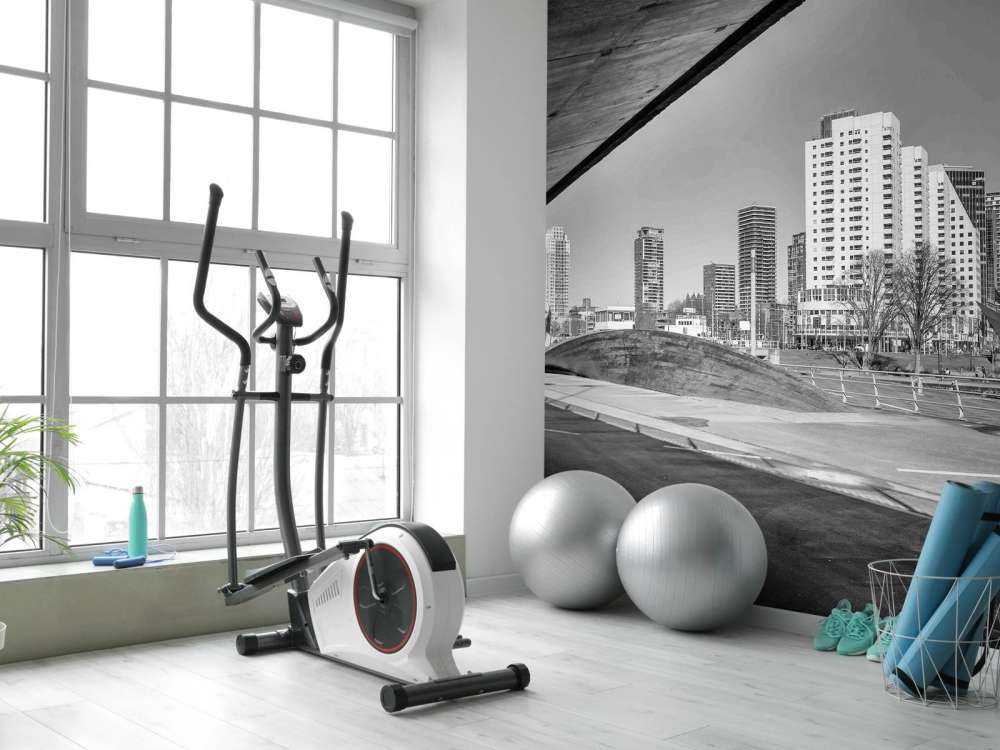 Skyline de Rotterdam sous le pont