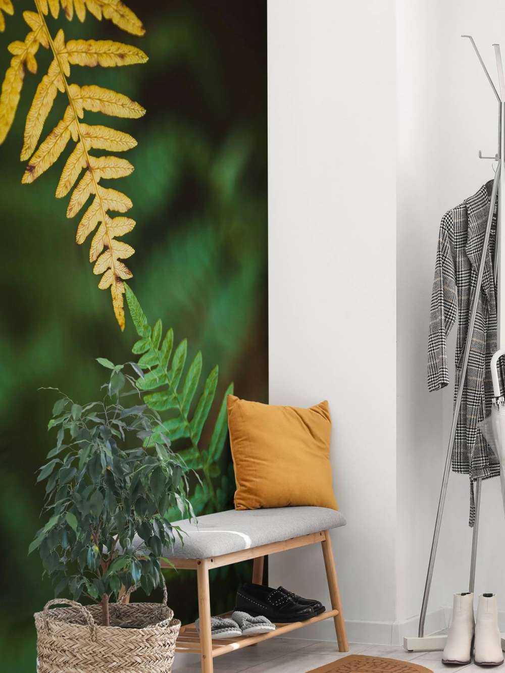 Rencontre des Saisons