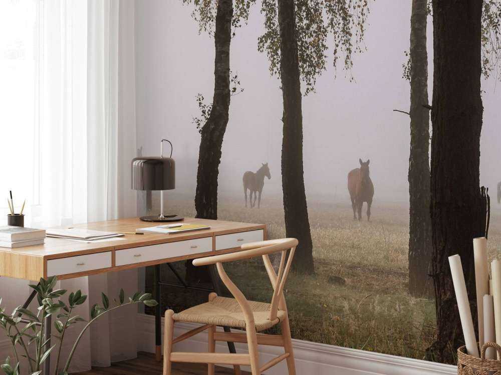 Chevaux dans la brume du matin