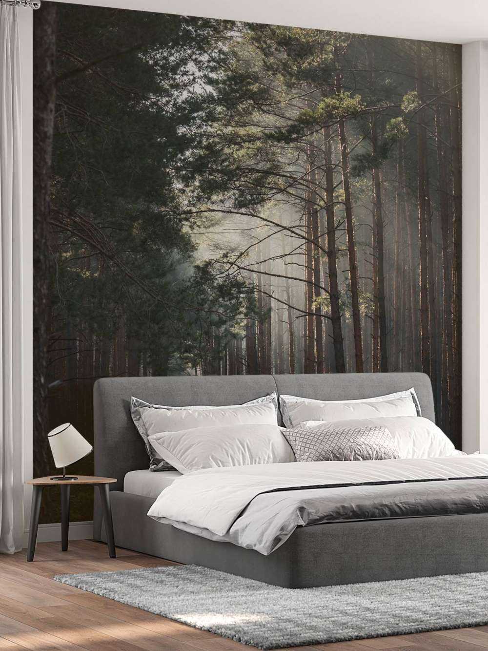 Lueur d'automne dans la forêt