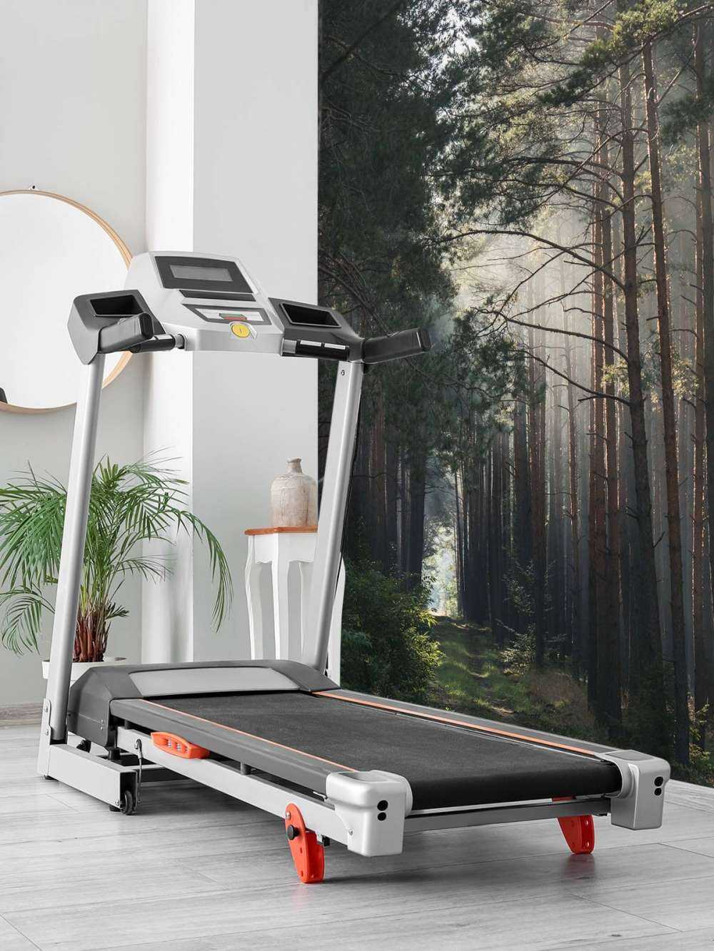 Lueur d'automne dans la forêt