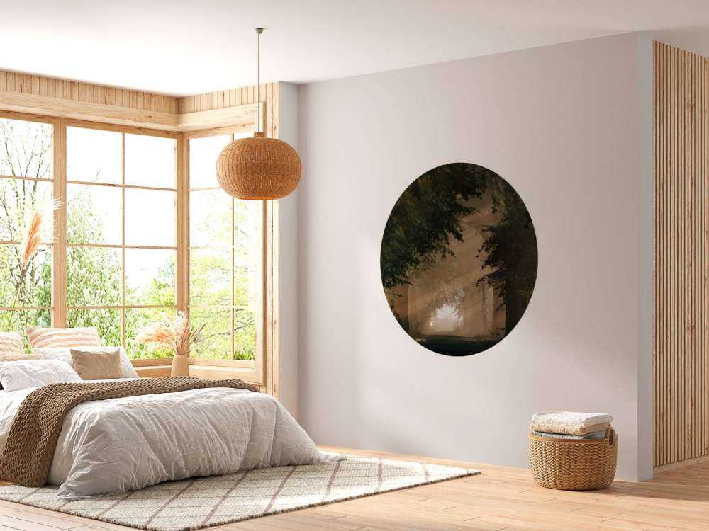 Lumière dorée dans la forêt