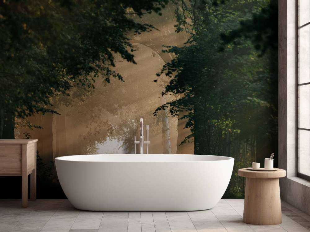 Lumière dorée dans la forêt