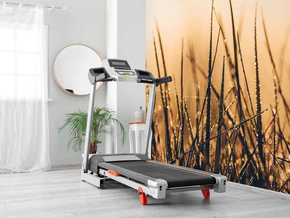 Herbe de rosée étincelante