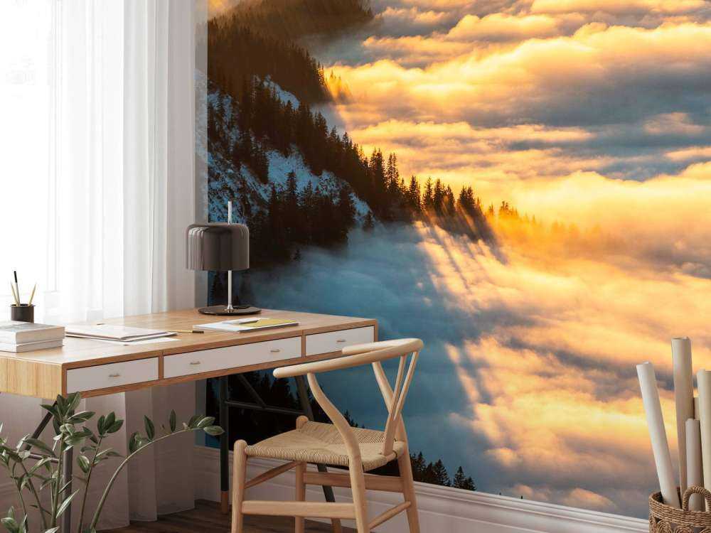 Lumière du soleil sur une forêt de montagne enneigée