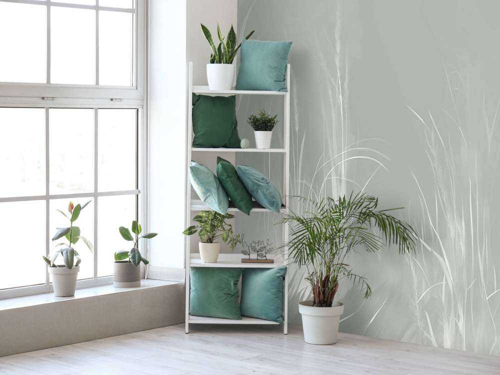 Ambiance Nature Gris Profond