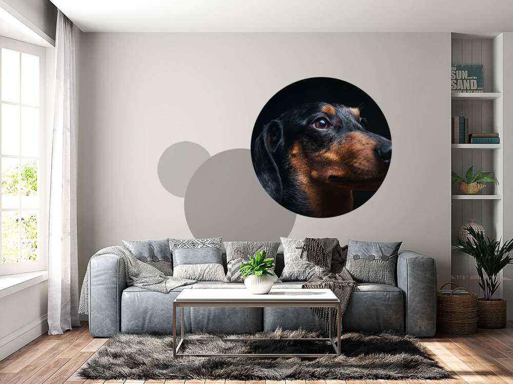 Portrait de fier teckel