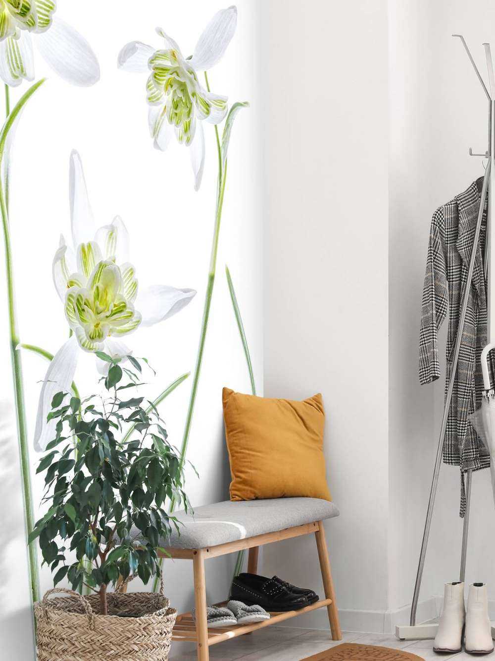 Galanthus Flore Pleno