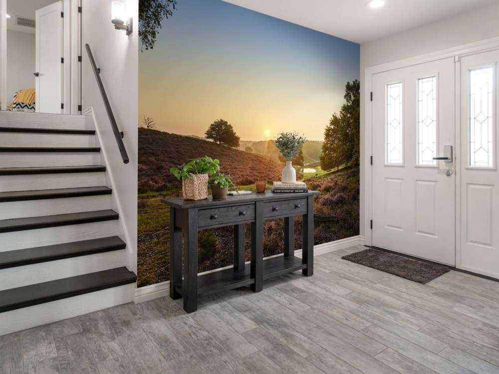 Flaque d'eau sur la lande