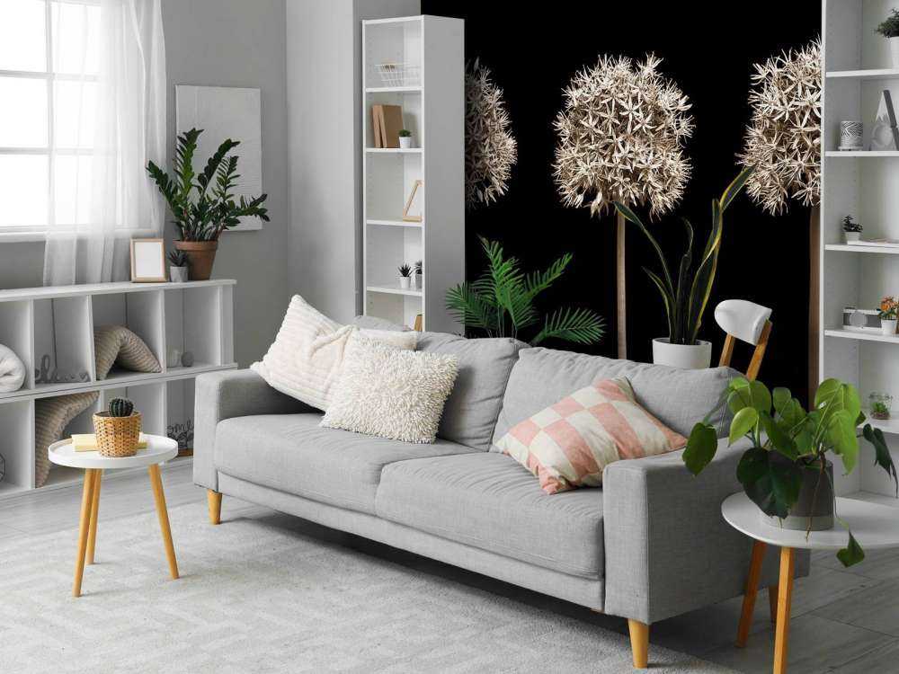 Trois fleurs d'allium en ligne