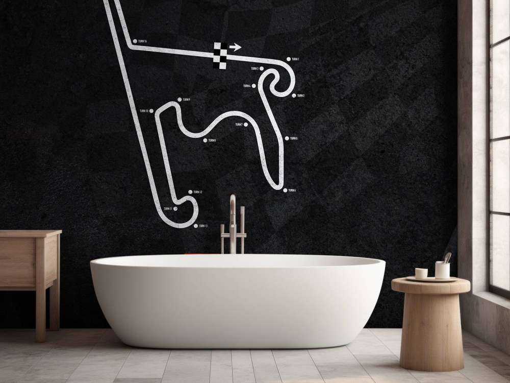 Circuit de Formule 1 - Circuit de Shanghai - Chine