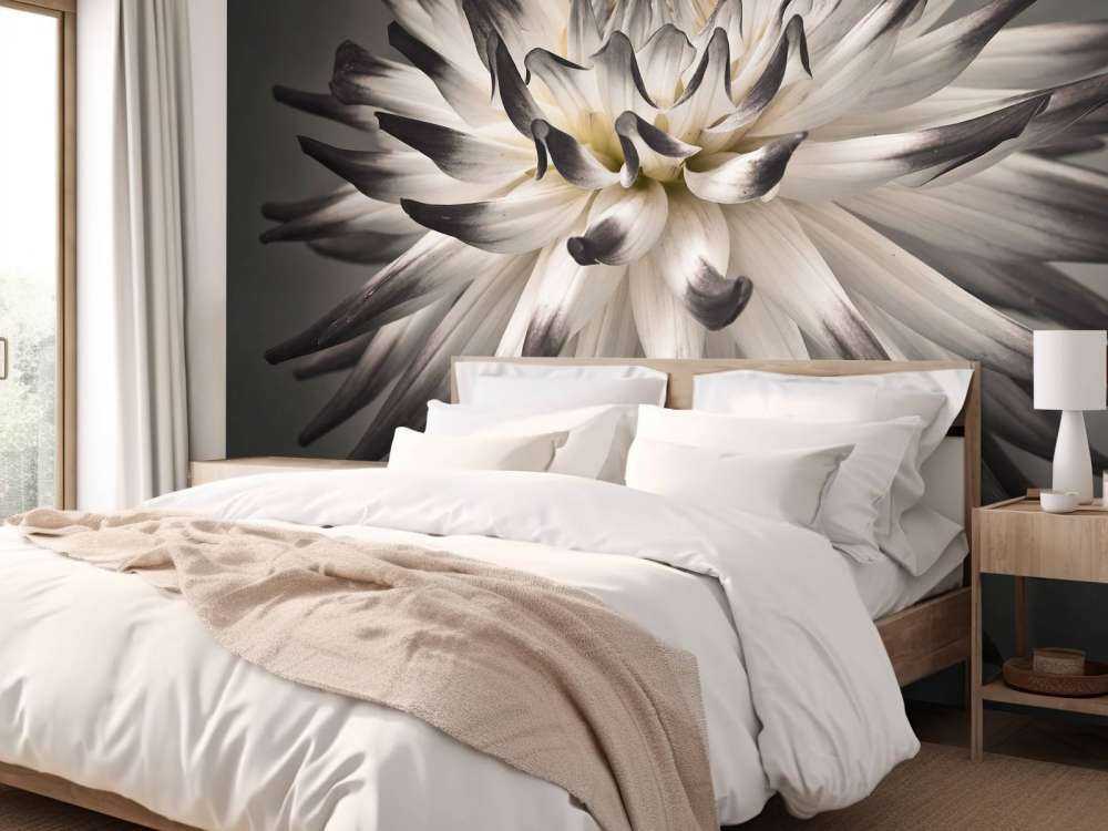 Fleur de dahlia noir et blanc