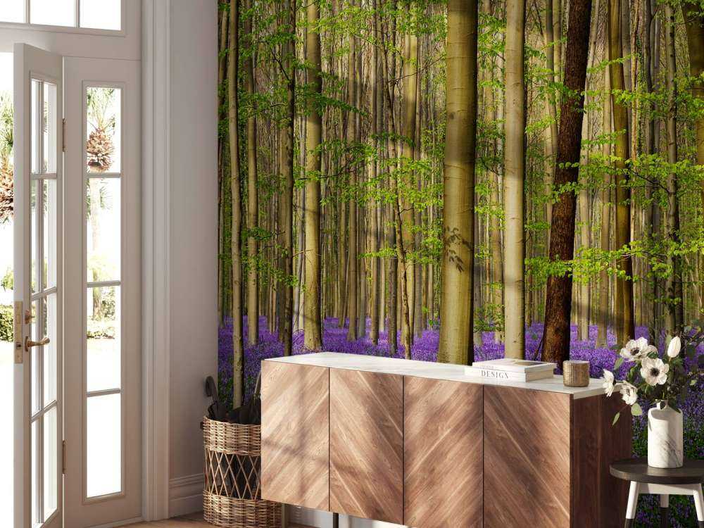 Forêt avec jacinthes des bois