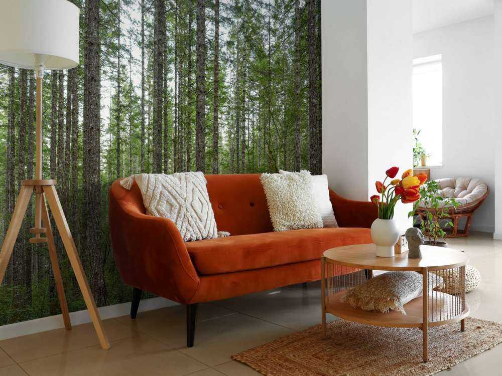 Arbres hauts et droits