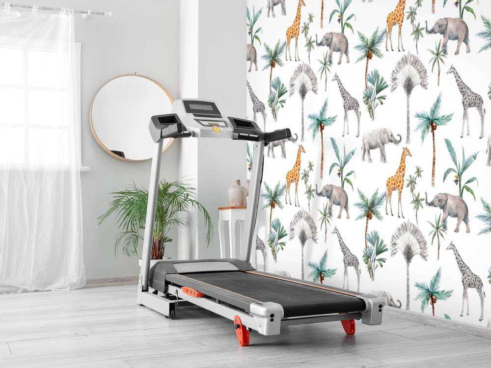 Les animaux de la jungle