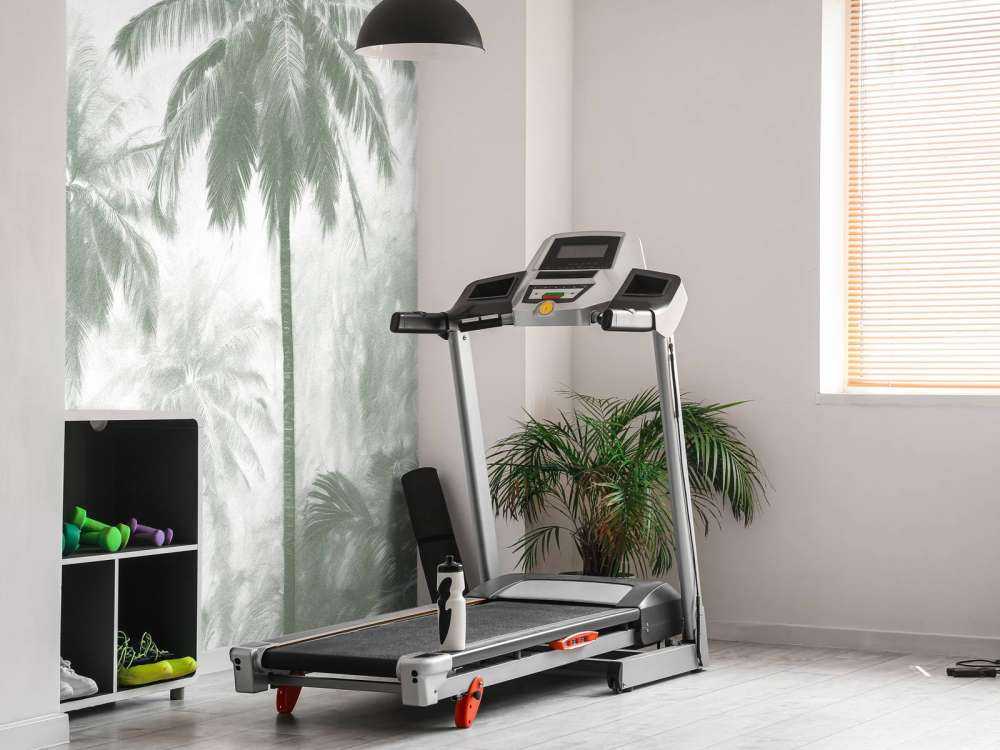 Forêt de Palmiers Brumeuse, vert