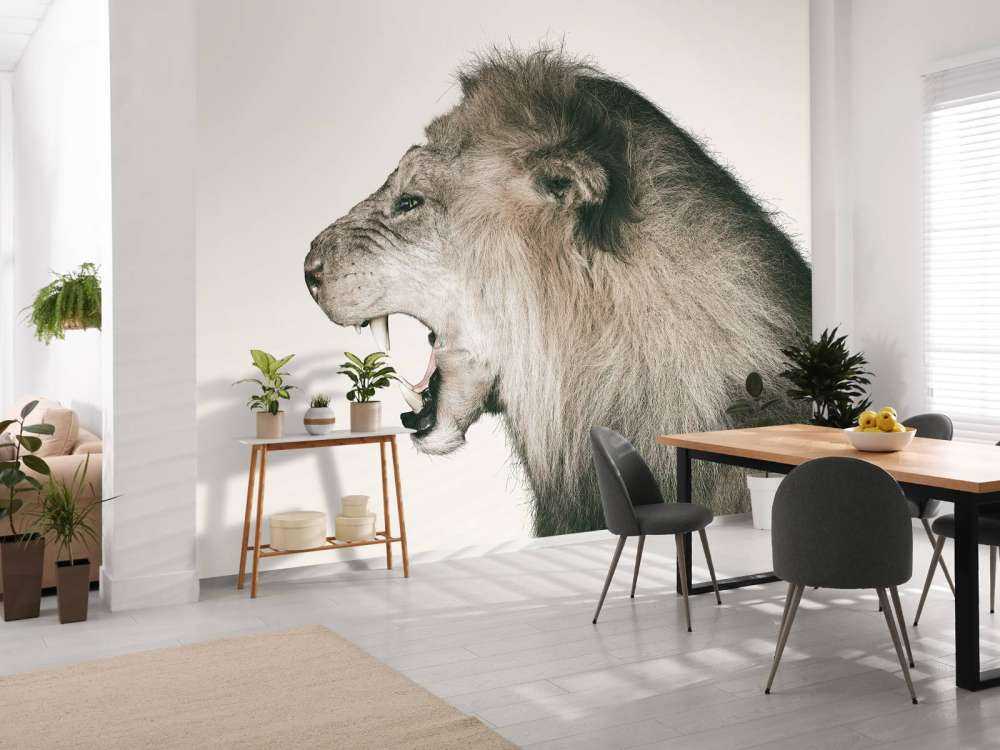 Lion rugissant blanc