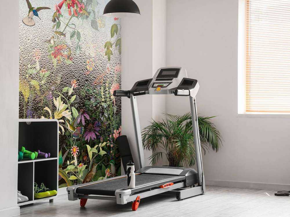 Paradis des Oiseaux Pluvieux