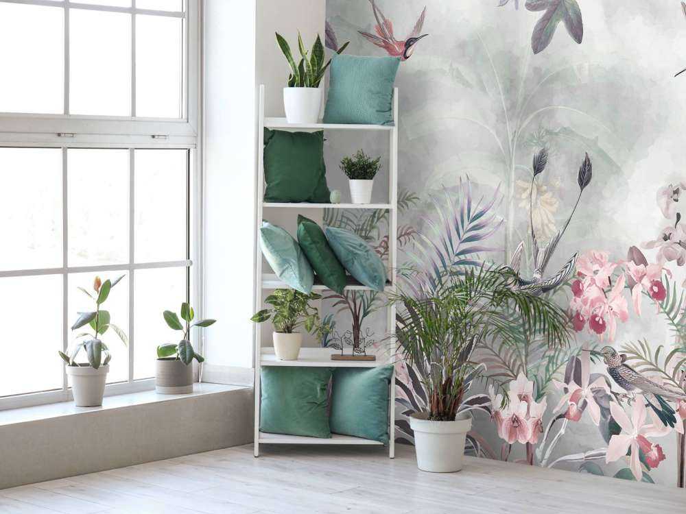 Tropic and Orchids 7