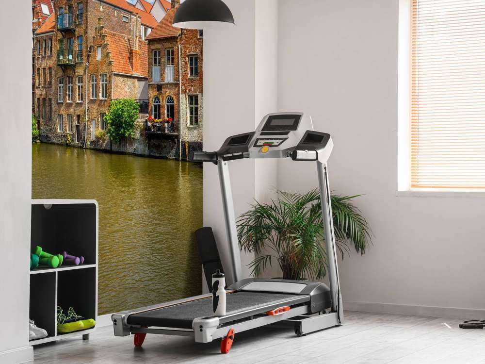 Maisons historiques à Gand