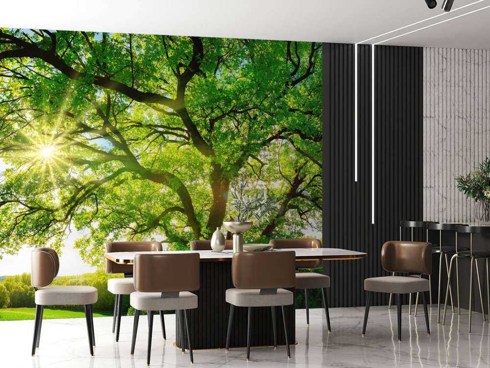 Arbre à rayons de soleil