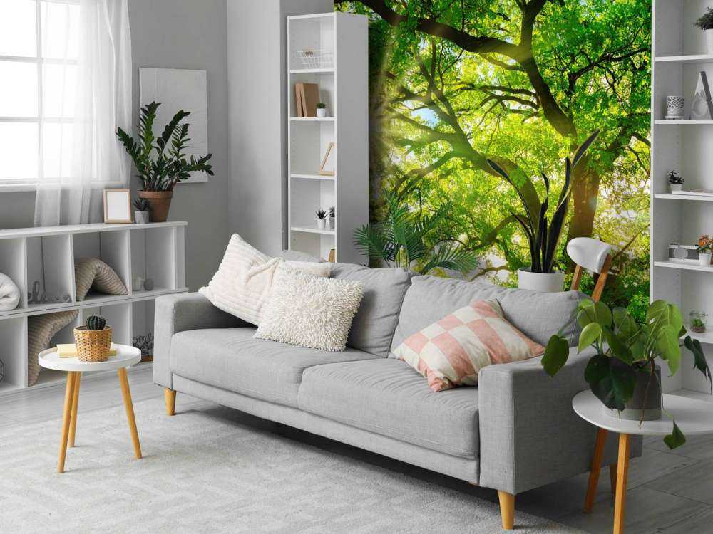 Arbre à rayons de soleil