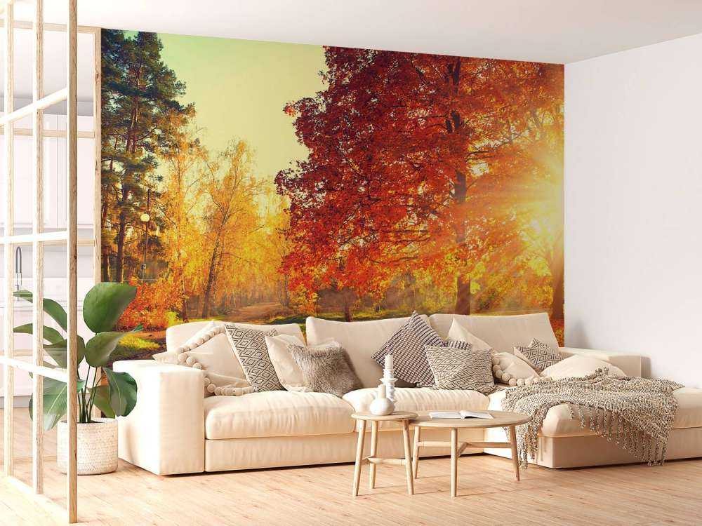 Arbres d'automne au soleil