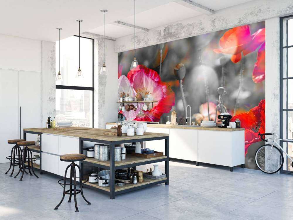 Coquelicots en noir, blanc, rouge