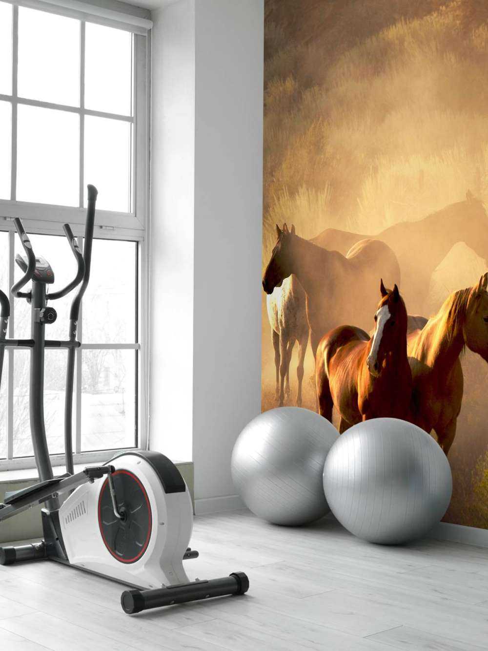 Chevaux au coucher du soleil