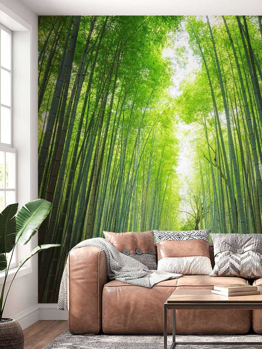 Sentier à travers le bambou