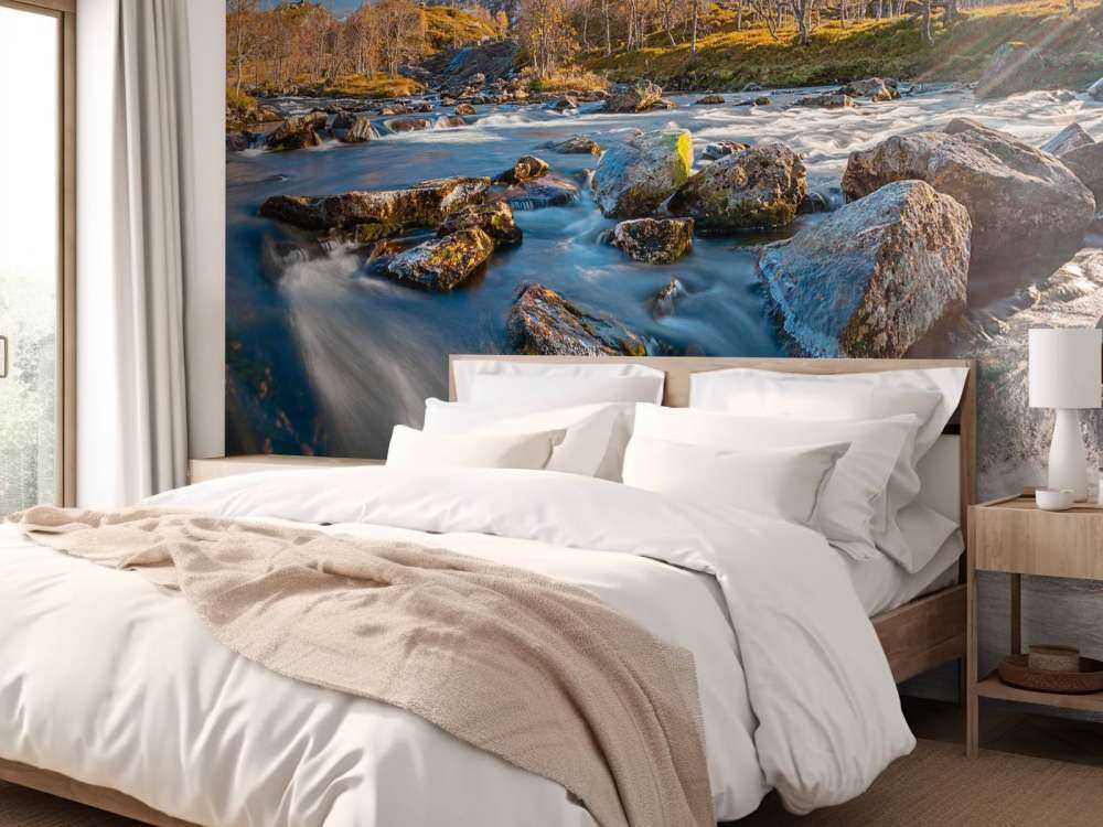 Rivière de montagne