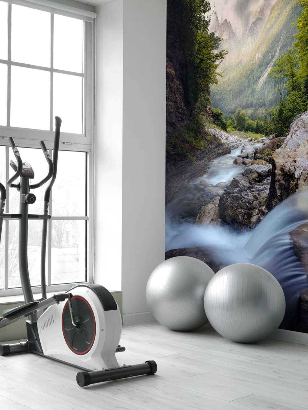 Bergstroom dans la nature