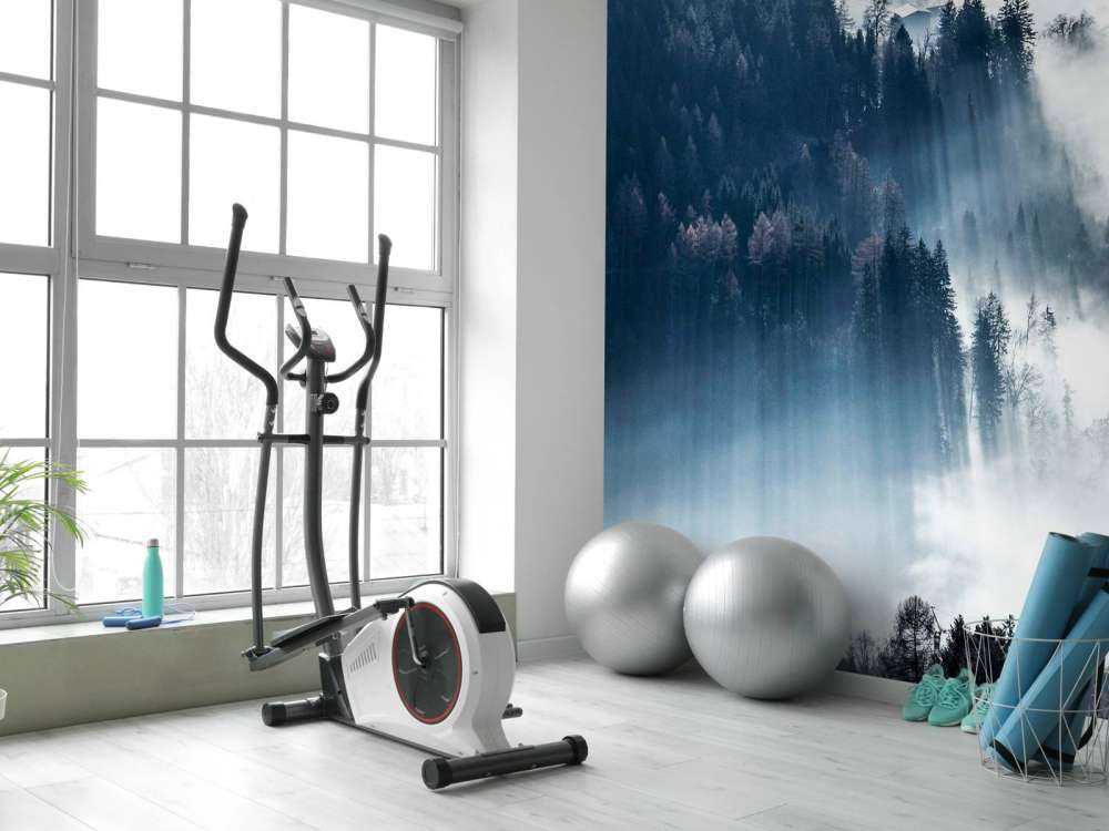 Lumière du matin dans la forêt brumeuse.