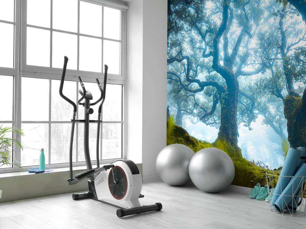 Forêt enchantée dans la brume du matin.