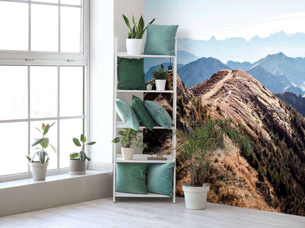 Matin d'automne sur la crête de la montagne