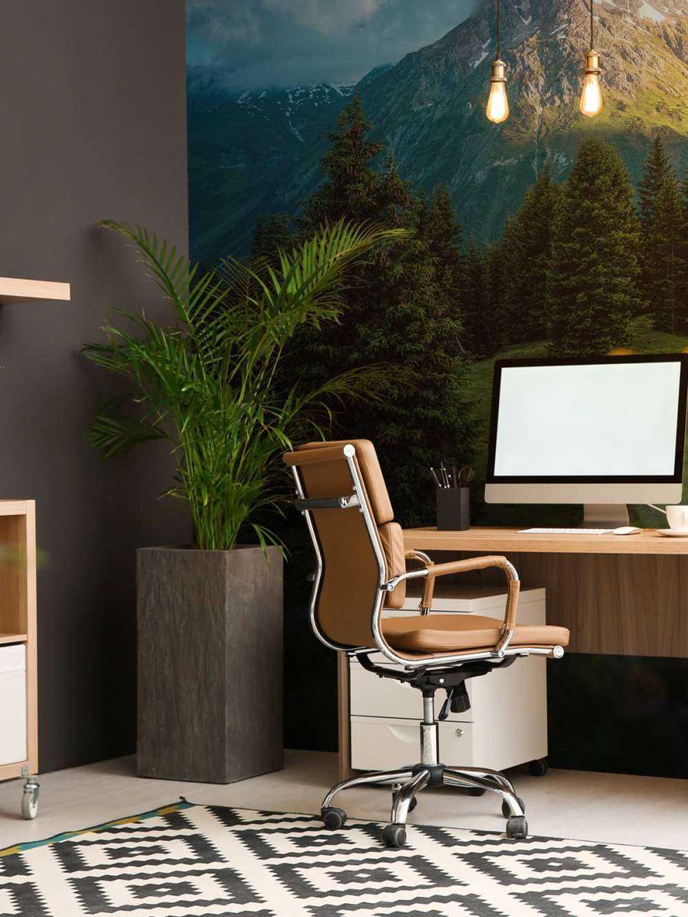 Prairie de montagne dans la brume du matin.