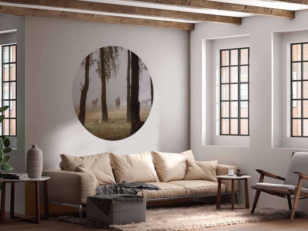 Chevaux dans la brume du matin