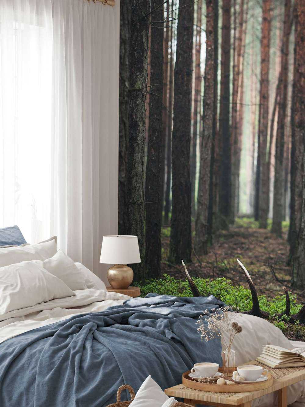 Sauvage&#x20;et&#x20;Myst&#xE8;re&#x20;entre&#x20;les&#x20;Arbres