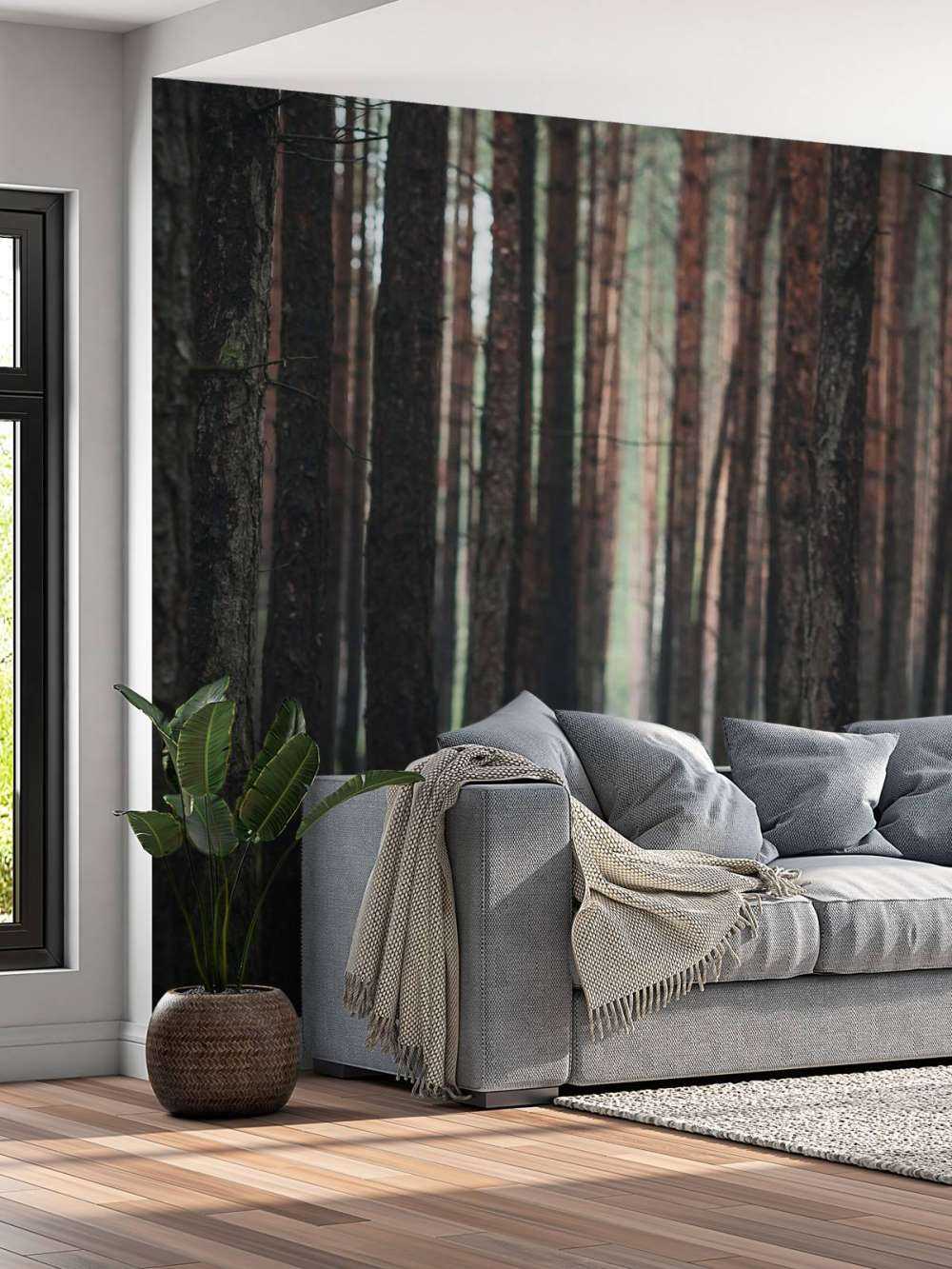 Sauvage&#x20;et&#x20;Myst&#xE8;re&#x20;entre&#x20;les&#x20;Arbres