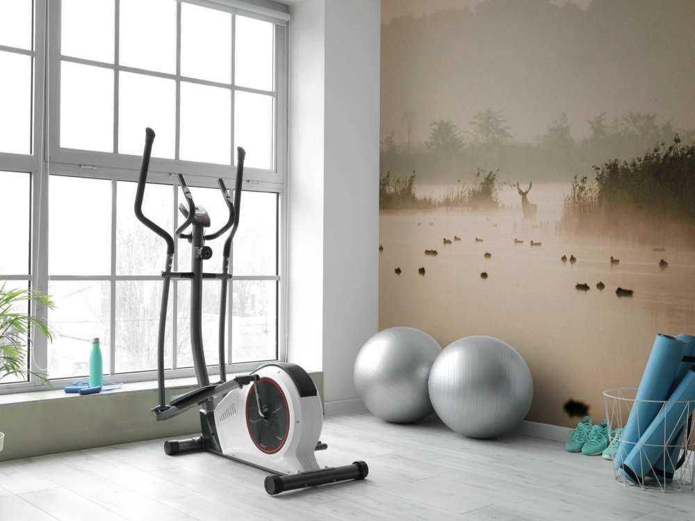 Hert dans un paysage aquatique brumeux